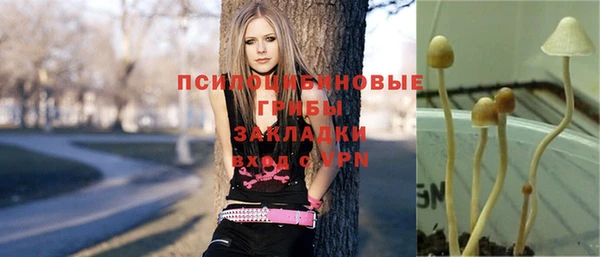 скорость Абаза