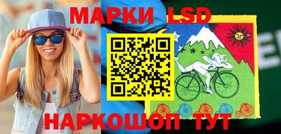 шишки Обь