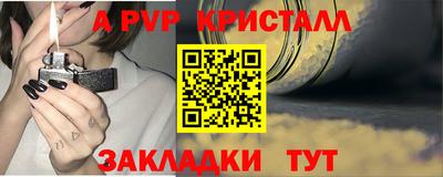 шишки Обь