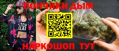 шишки Обь
