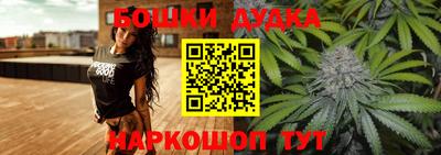 шишки Обь