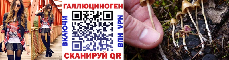Псилоцибиновые грибы мицелий  Черногорск 